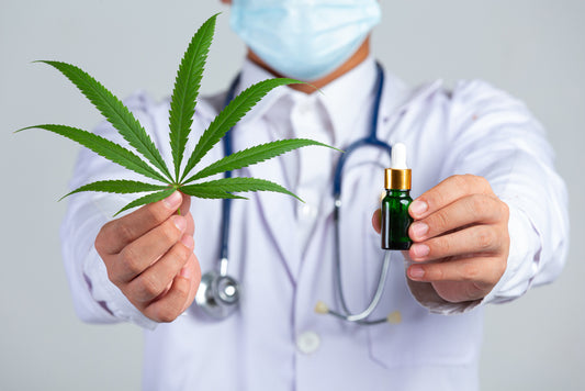 CBD pro sportovce