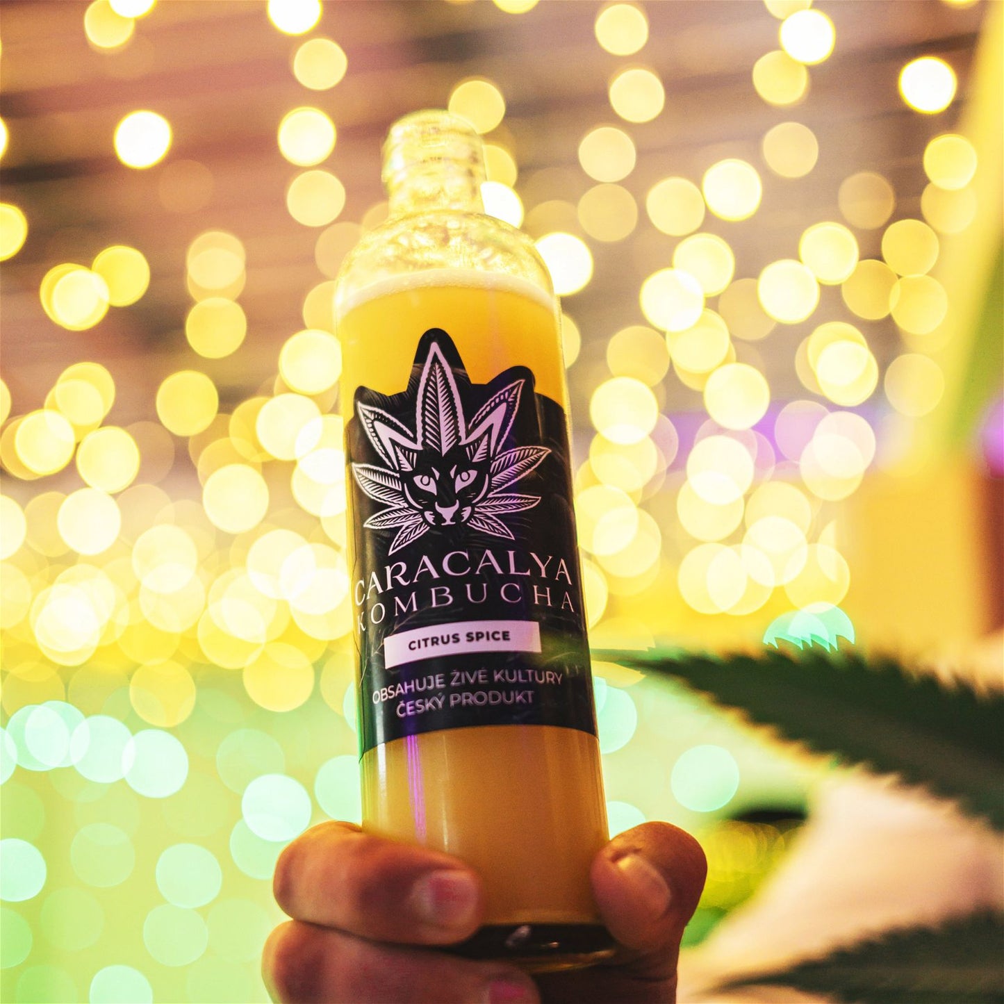 Caracalya Kombucha CITRUS SPICE 700ml (Citron, Zázvor)