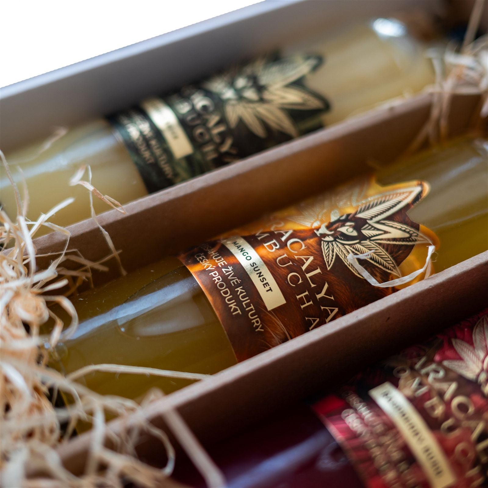 Caracalya Kombucha BOX 12 dávek