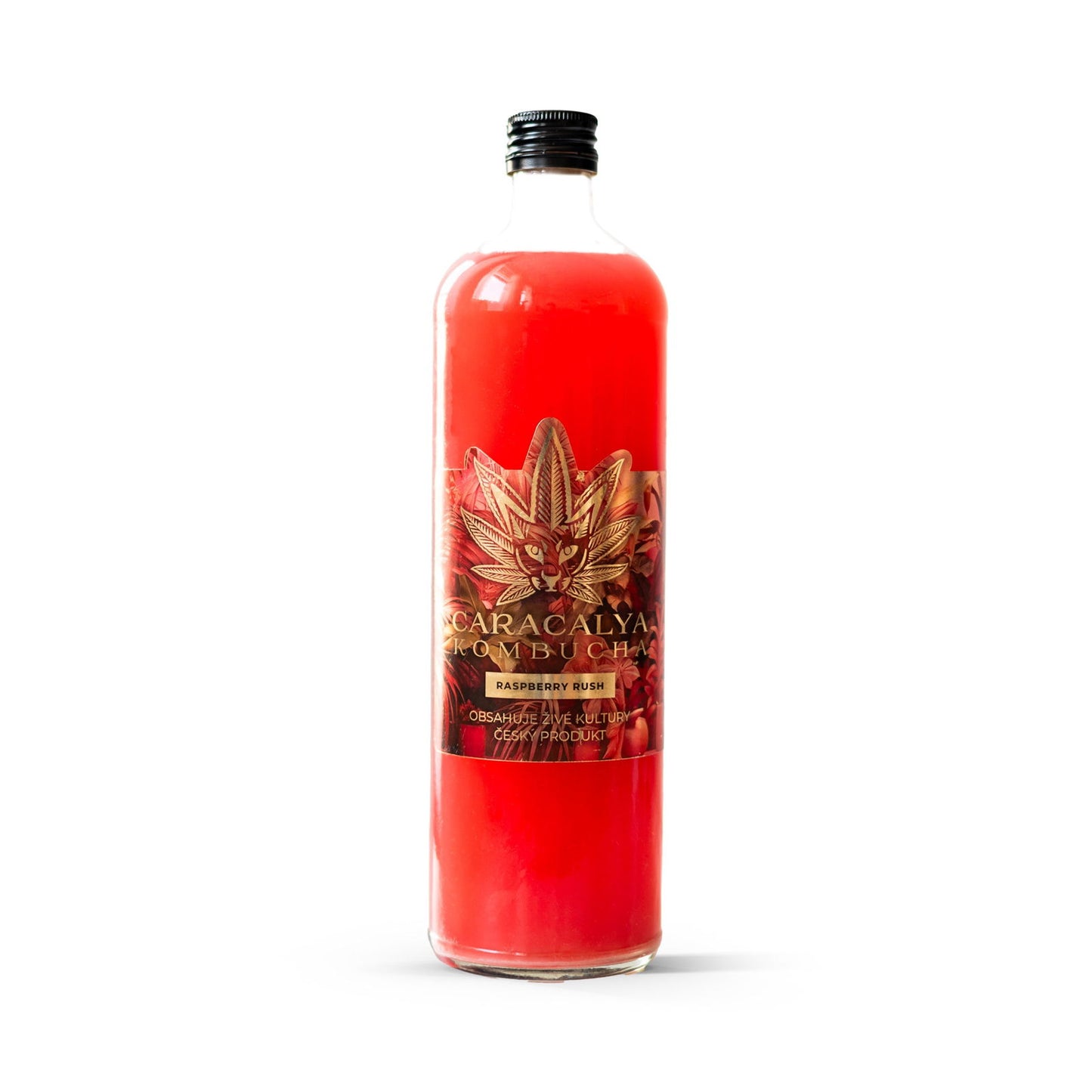 Caracalya Kombucha BOX 12 dávek