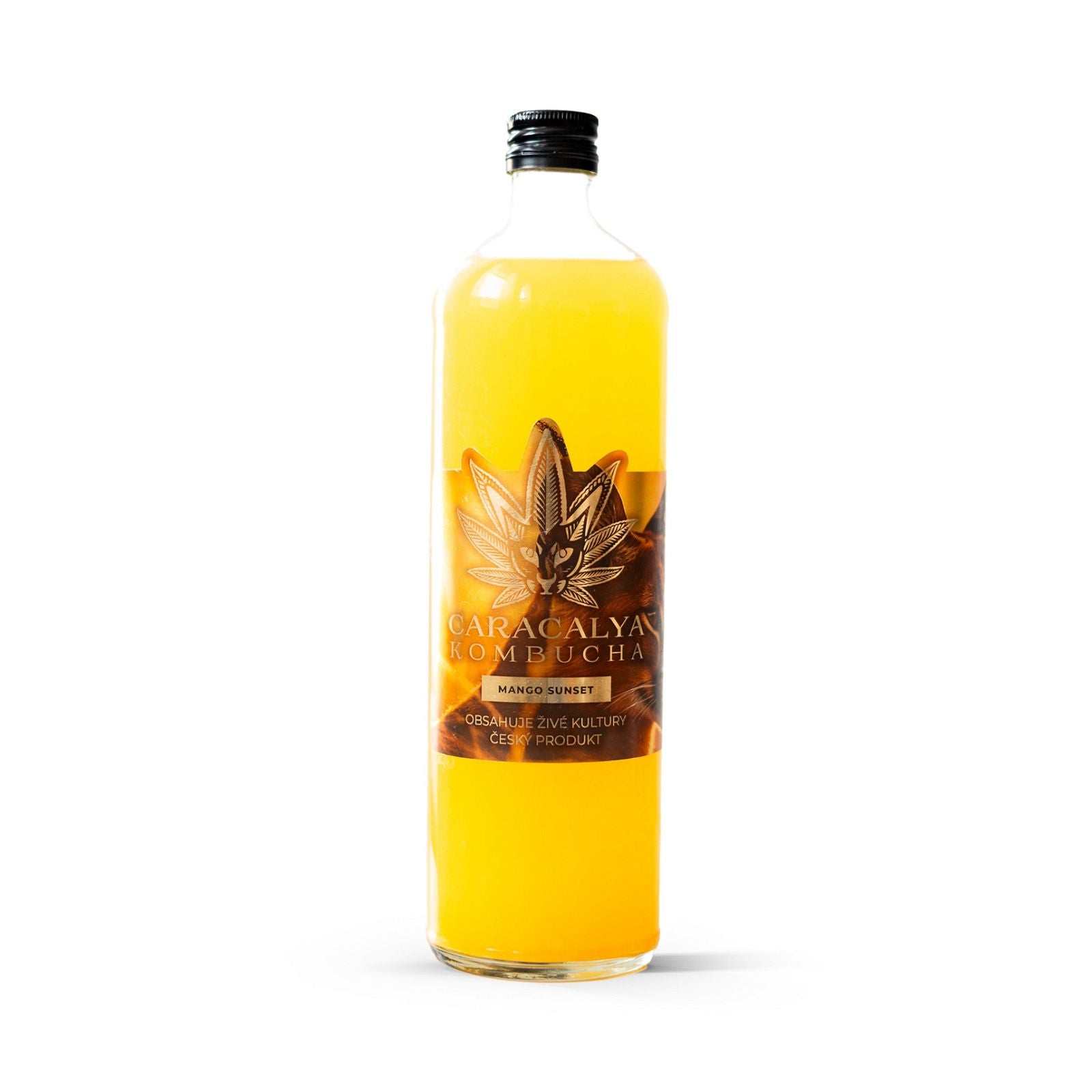Caracalya Kombucha BOX 12 dávek