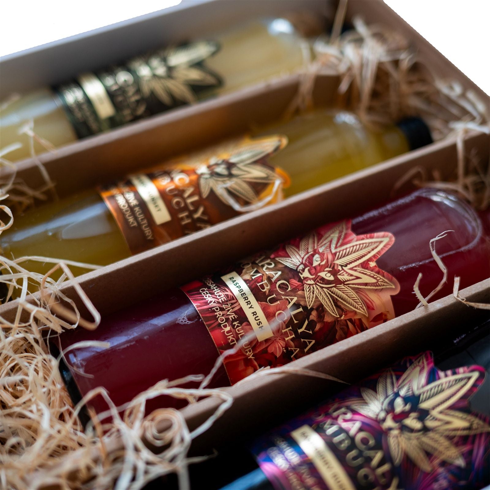 Caracalya Kombucha BOX 12 dávek