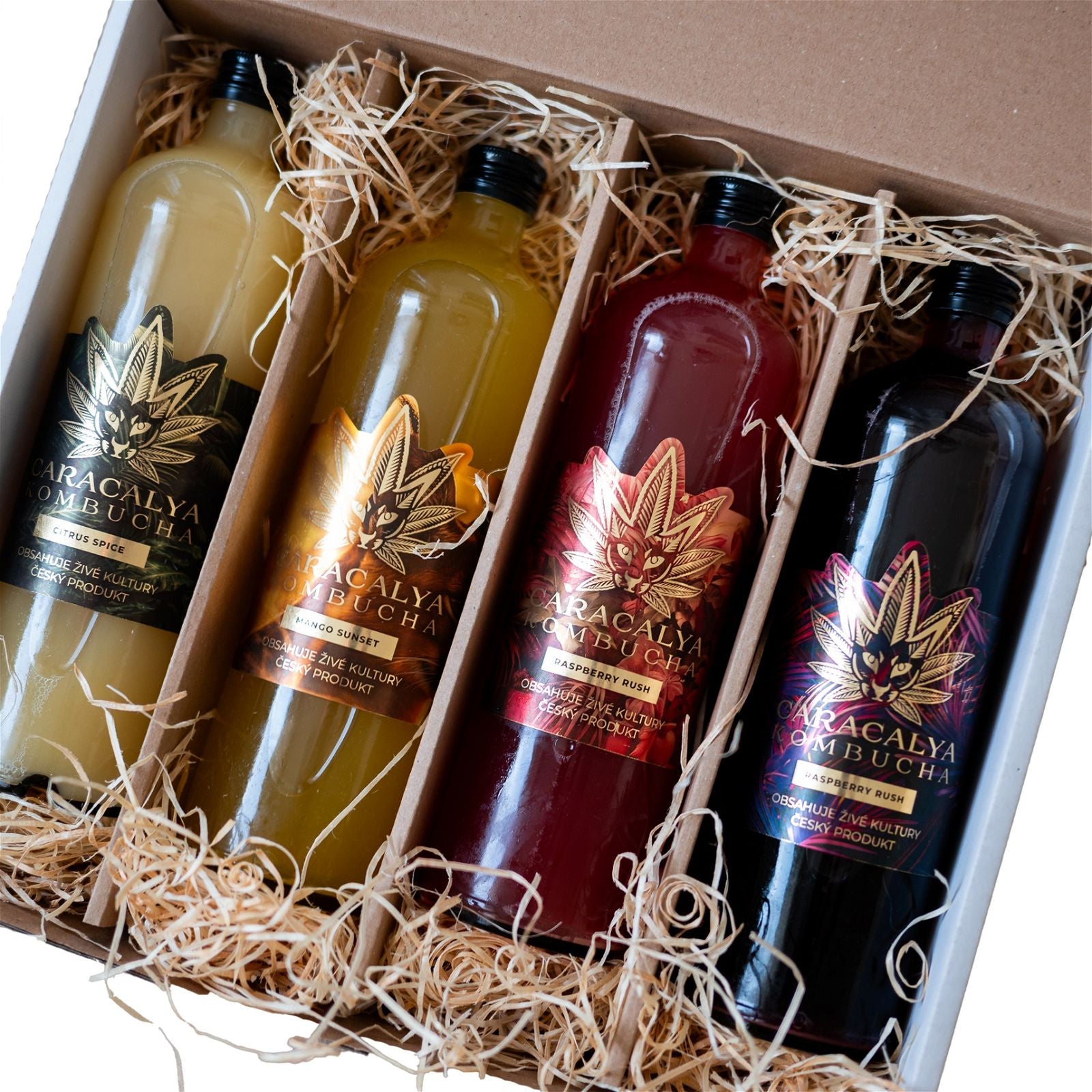 Caracalya Kombucha BOX 12 dávek