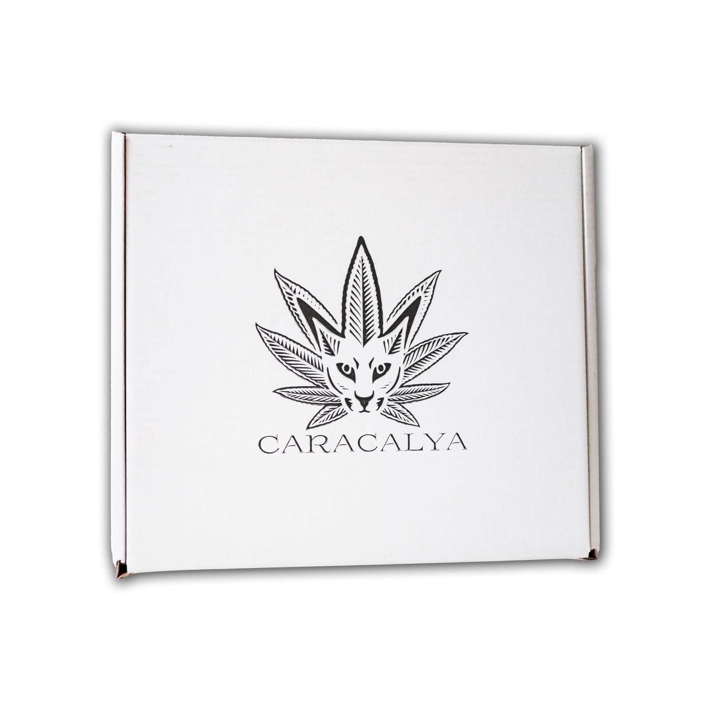 Caracalya Kombucha BOX 24 dávek