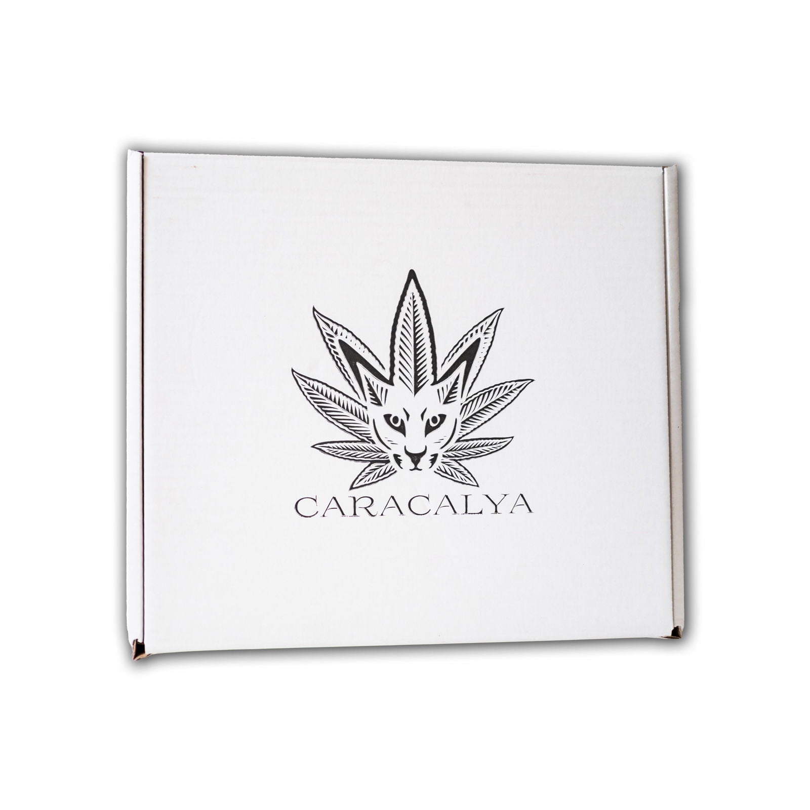 Caracalya Kombucha BOX 24 dávek
