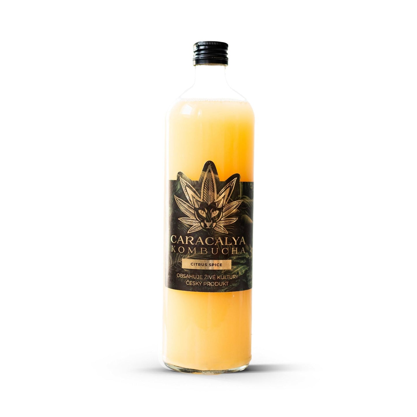 Caracalya Kombucha BOX 24 dávek