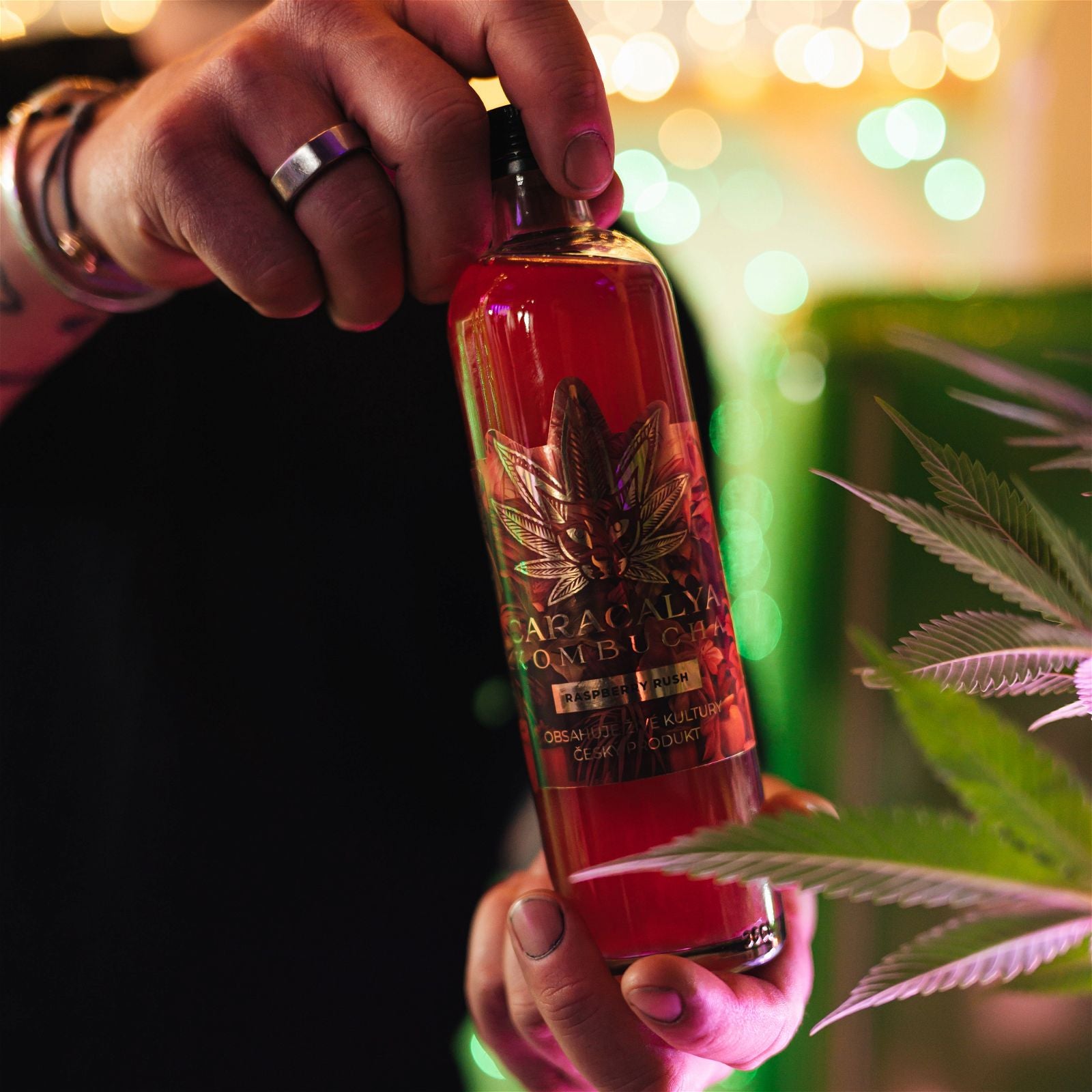 Caracalya Kombucha Raspberry rush 350ml (Malina, Limeta)