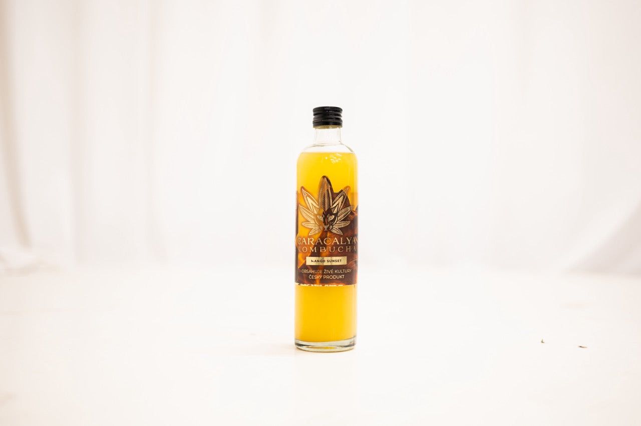 Kombucha box 20x350ml