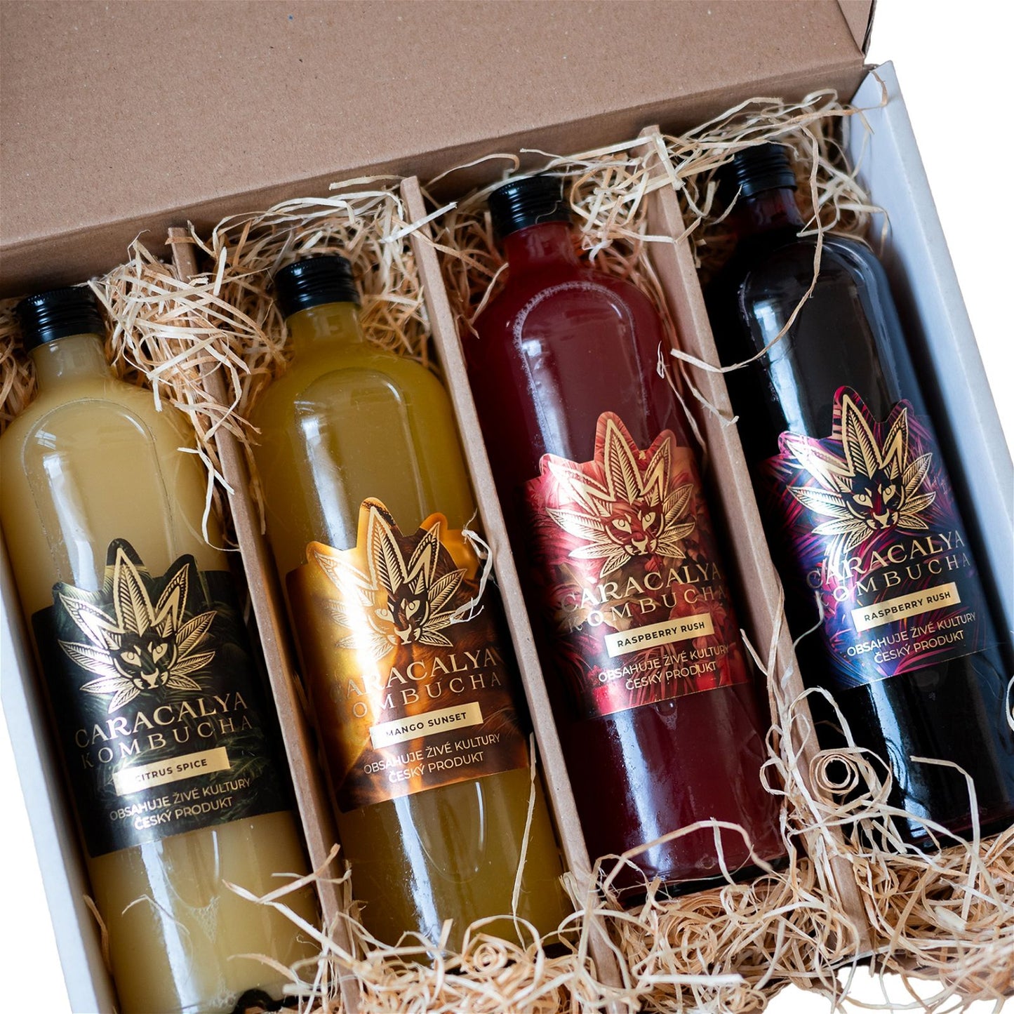 Caracalya Kombucha BOX 36 dávek